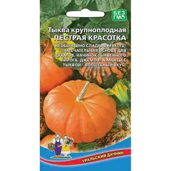Семена Тыква Пестрая красотка - крупноплодная (а/ф Уральский Дачник)