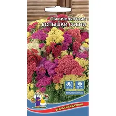 Семена Тысячелистник Вспышки Осени (а/ф Уральский Дачник)