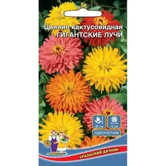 Семена Цинния Гигантские Лучи - кактусовидная (а/ф Уральский Дачник)