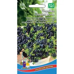 Семена Черника Темная ночь (а/ф Уральский Дачник)