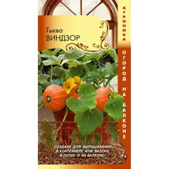 Семена Тыква Виндзор (Огород на балконе!) (а/ф Плазменные семена)