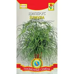 Семена Циперус Зумула (а/ф Плазменные семена)