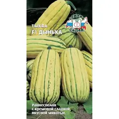 Семена Тыква Дынька F1 (а/ф Седек)