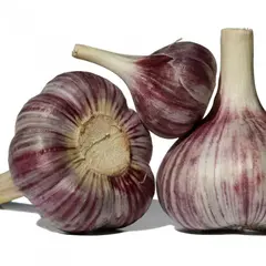 Чеснок озимый Комсомолец (4 головки в уп)