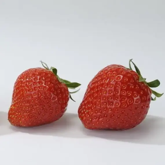 Земляника (Клубника) Эльсанта