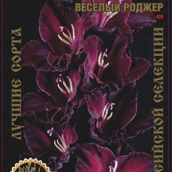Гладиолус Веселый Роджер Экстра
