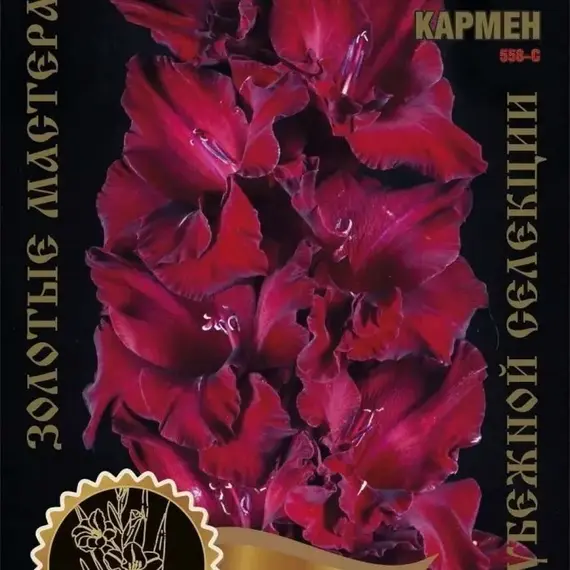 Гладиолус Кармен