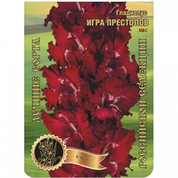 Гладиолус Игра Престолов