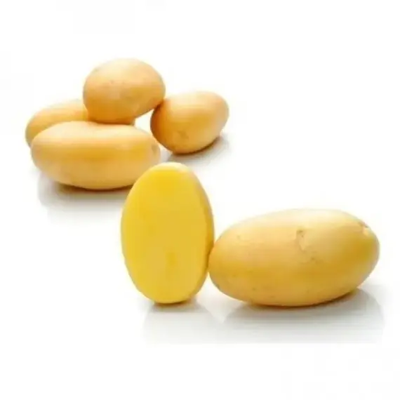 Картофель семенной Примадонна (1кг/уп - репродукция супер элита, ранний)