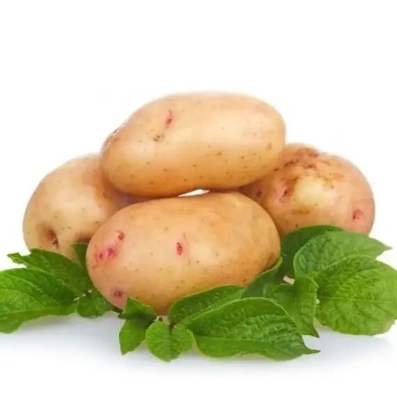 Картофель семенной Аврора (1кг/уп - репродукция элита, средне-спелый)