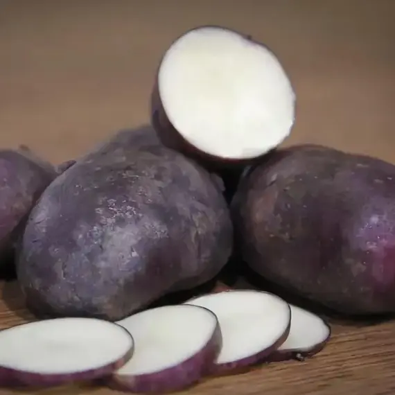 Картофель семенной Василек (репродукция элита.)