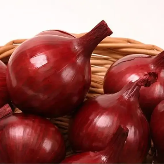 Лук-севок Роми разбор 14/21 (1 уп. - 350 гр)