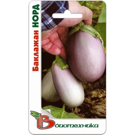 Семена Баклажан Норд (а/ф Биотехника)