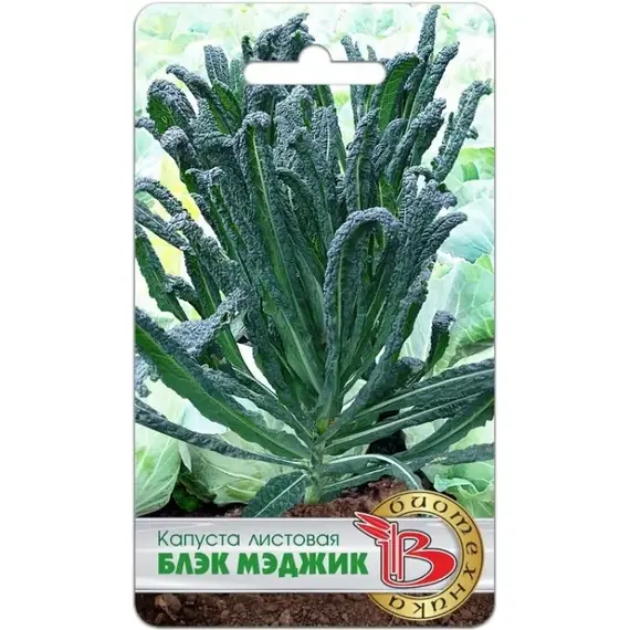 Семена Капуста Листовая Блэк Меджик (А/Ф Биотехника)