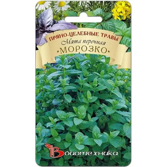 Семена Мята перечная Морозко (а/ф Биотехника)
