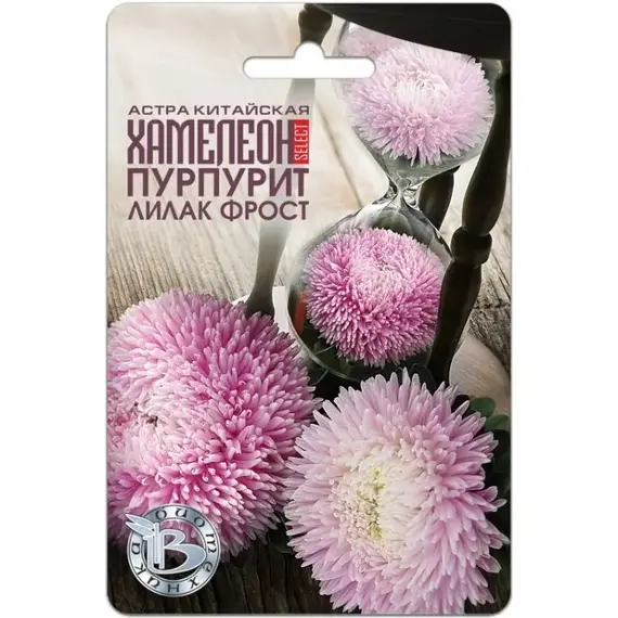 Семена Астра китайская Хамелеон селект Пурпурит Лилак Фрост (а/ф Биотехника)