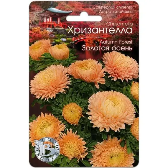Семена Астра китайская Хризантелла Золотая осень (а/ф Биотехника)