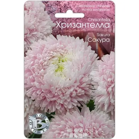 Семена Астра китайская Хризантелла Сакура (а/ф Биотехника)
