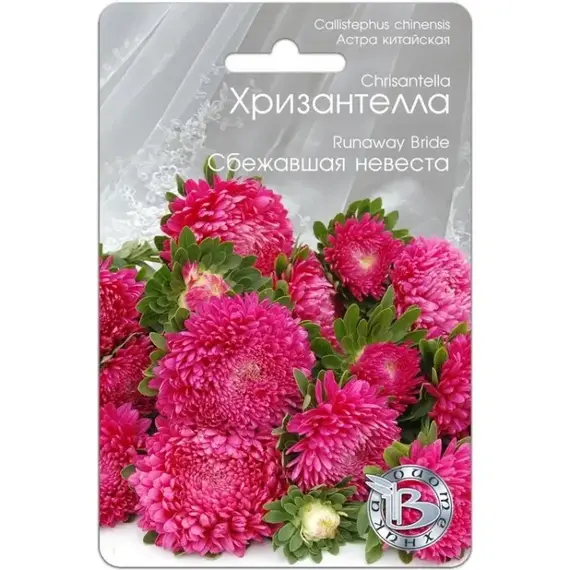 Семена Астра китайская Хризантелла Сбежавшая невеста (а/ф Биотехника)