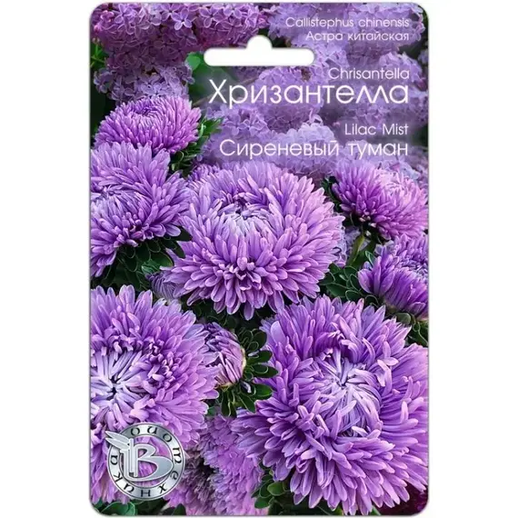 Семена Астра китайская Хризантелла Сиреневый туман (а/ф Биотехника)
