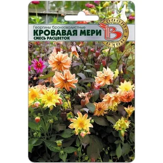 Семена Георгины бронзоволистные Кровавая Мери ( смесь расцветок ) (а/ф Биотехника)