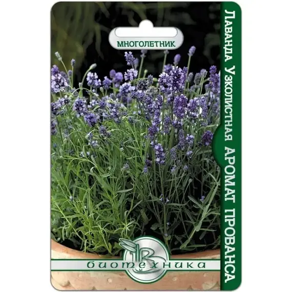 Семена Лаванда узколистная Аромат Прованса (а/ф Биотехника)