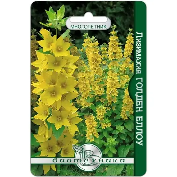 Семена Лизимахия Голден Еллоу (а/ф Биотехника)