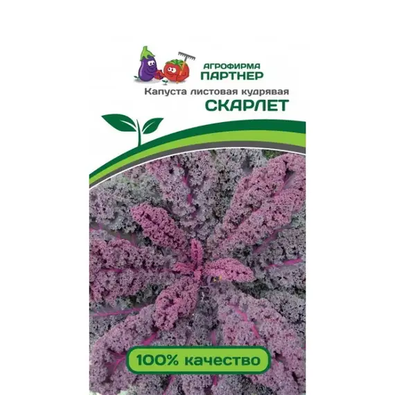 Семена Капуста Листовая Кудрявая Скарлет (А/Ф Партнер)