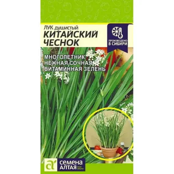 Семена Лук Душистый Китайский Чеснок (а/ф Семена Алтая)