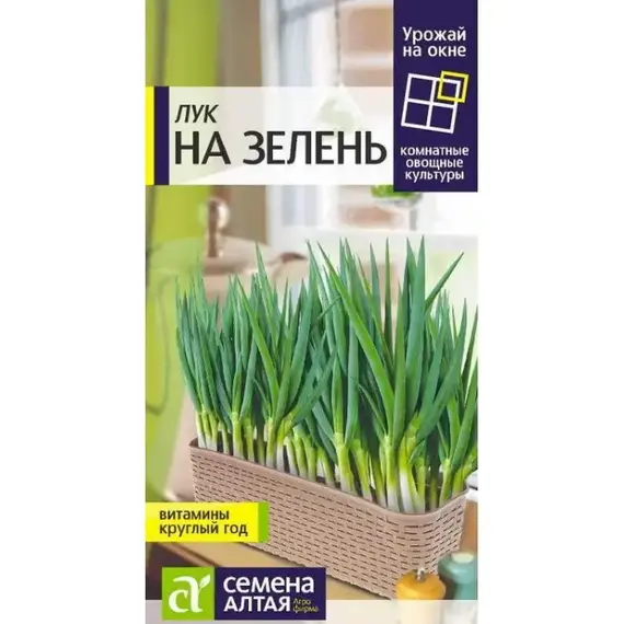 Семена Лук на Зелень (а/ф Семена Алтая)