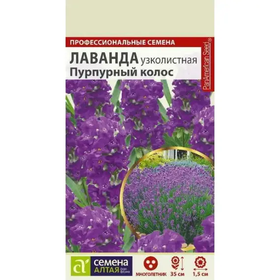 Семена Лаванда Пурпурный Колос узколистная (а/ф Семена Алтая)