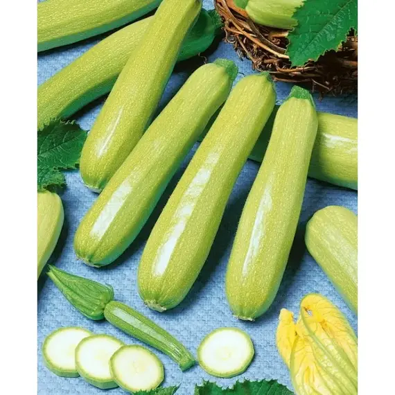 Семена Кабачок Аймаран F1 (Улучшенный Кавили) (а/ф Росток)