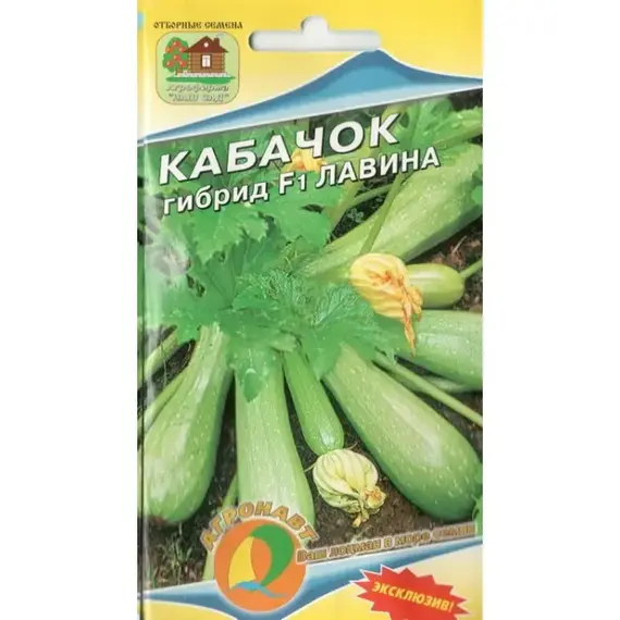 Семена Кабачок ЛАВИНА F1 5 сем. Эксклюзив (а/ф Наш сад)