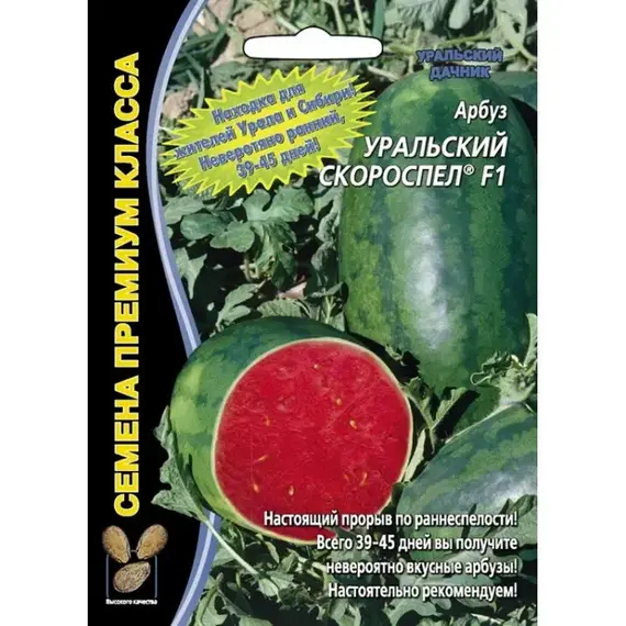 Семена Арбуз Уральский скороспел (а/ф Уральский Дачник)