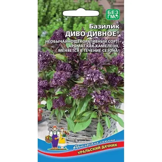 Семена Базилик Диво дивное (а/ф Уральский Дачник)