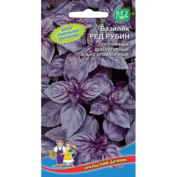 Семена Базилик Ред Рубин (а/ф Уральский Дачник)