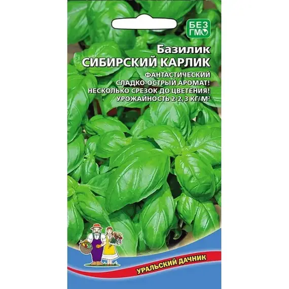 Семена Базилик Сибирский карлик (а/ф Уральский Дачник)