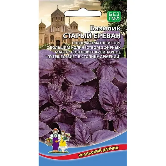 Семена Базилик Старый Ереван (а/ф Уральский Дачник)