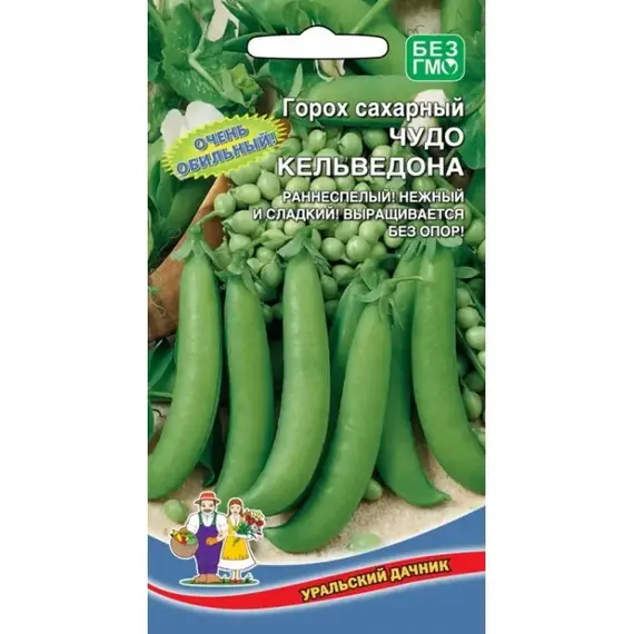 Семена Горох Чудо Кельведона - сахарный (а/ф Уральский Дачник)