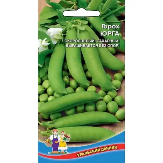 Семена Горох Юрга (а/ф Уральский Дачник)