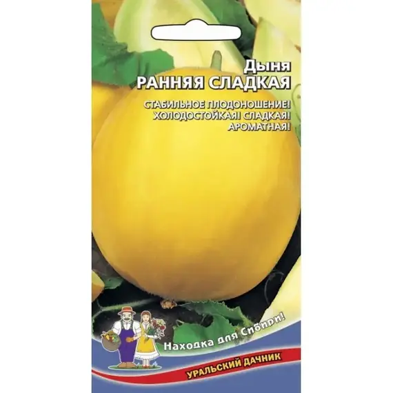 Семена Дыня Ранняя Сладкая (а/ф Уральский Дачник)