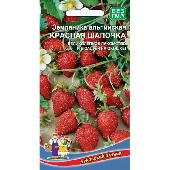 Семена Земляника Красная шапочка (а/ф Уральский Дачник)