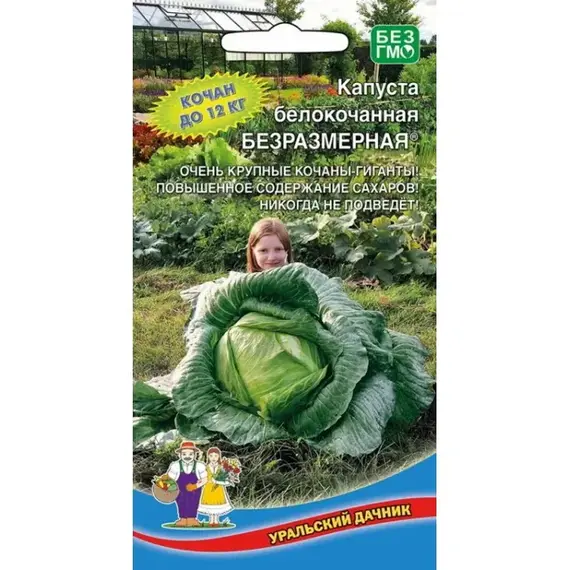 Семена Капуста белокочанная Безразмерная (а/ф Уральский Дачник)