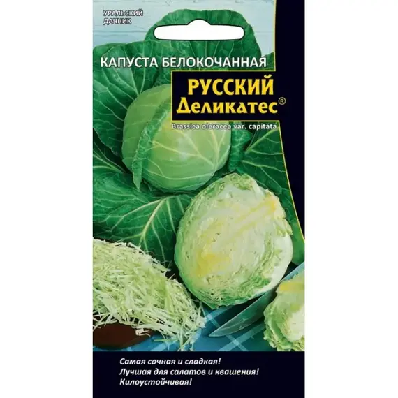 Семена Капуста белокочанная Русский деликатес (а/ф Уральский Дачник)