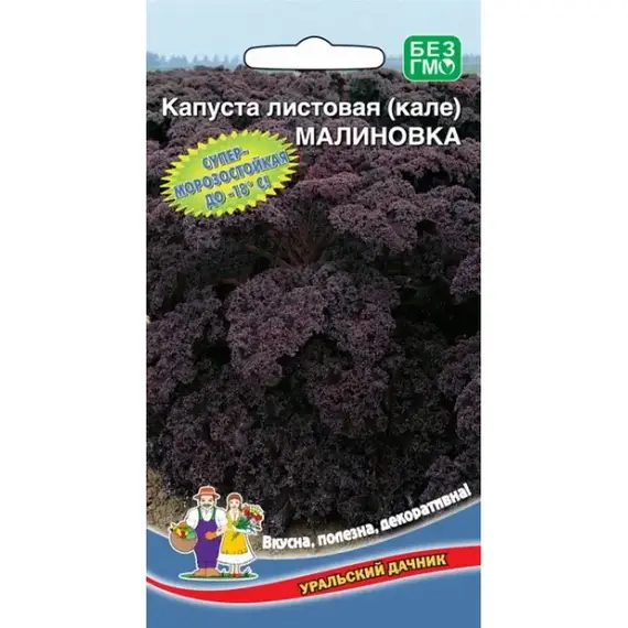 Семена Капуста листовая (кале) Малиновка (а/ф Уральский Дачник)