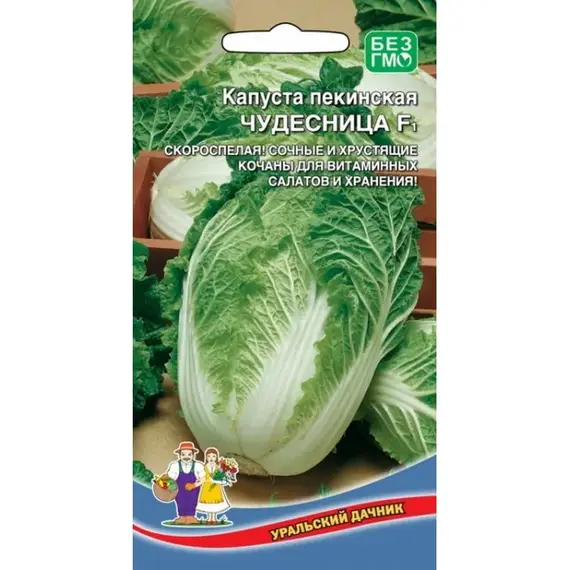 Семена Капуста пекинская Чудесница F1 (а/ф Уральский Дачник)
