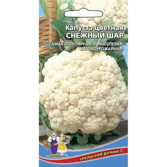 Семена Капуста цветная Снежный шар (а/ф Уральский Дачник)