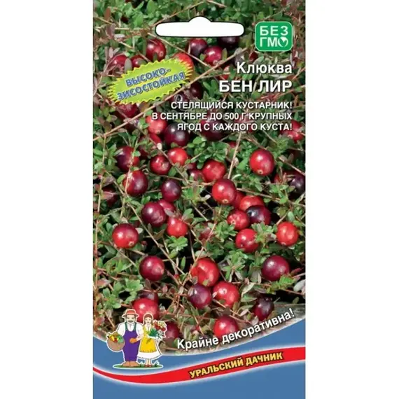 Семена Клюква Бен лир (а/ф Уральский Дачник)