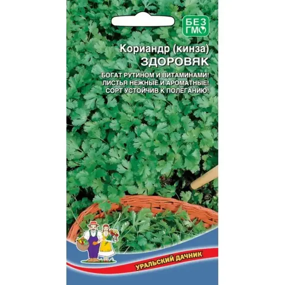 Семена Кориандр (кинза) Здоровяк (а/ф Уральский Дачник)