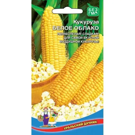Семена Кукуруза Белое облако (а/ф Уральский Дачник)